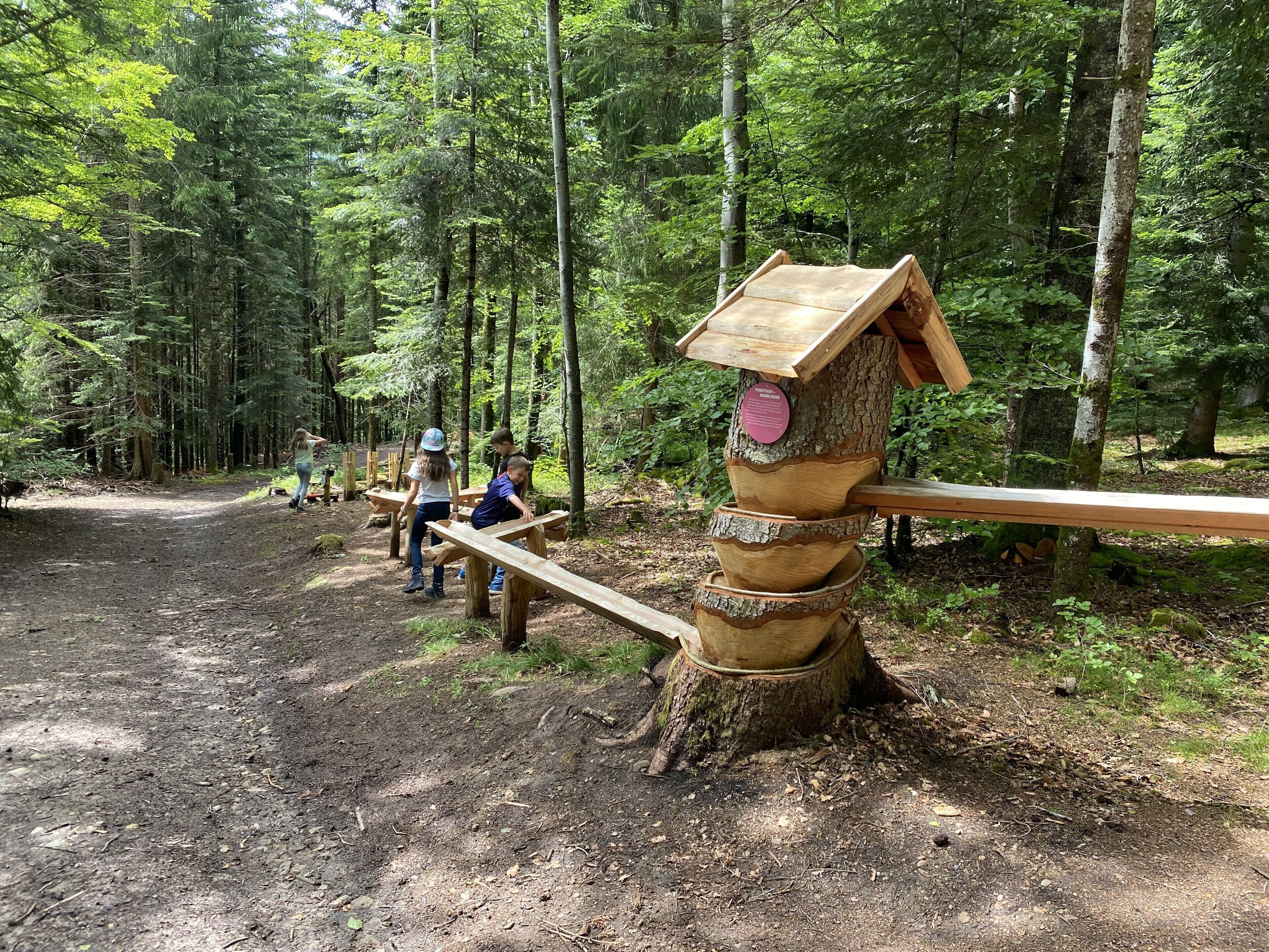 A forested area with a seesaw-like structure made of logs and a wooden platform.