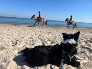 Beach - holiday home "House1" with water view (Sarbinowo)