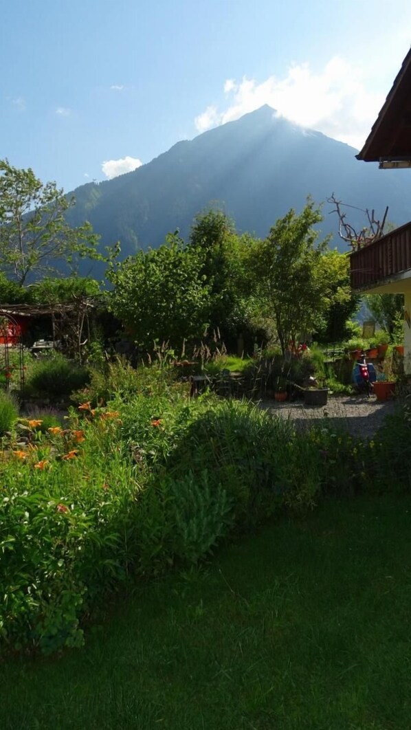 Property grounds - Chalet Aebnit (Aeschi b. Spiez)