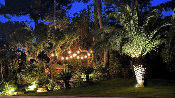 Espacio al aire libre iluminado con luces colgantes, palmeras y diversas plantas.