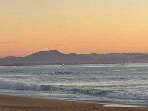 Beach nearby - Hossegor 200m ocean and lake villa heated pool ideally situated architect (Soorts-Hossegor)