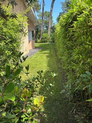 Unclassified image, 5 of 5, button