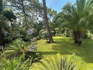 Property grounds - Hossegor 200m ocean and lake villa heated pool ideally situated architect (Soorts-Hossegor)