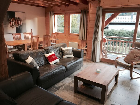 TV, fireplace, books