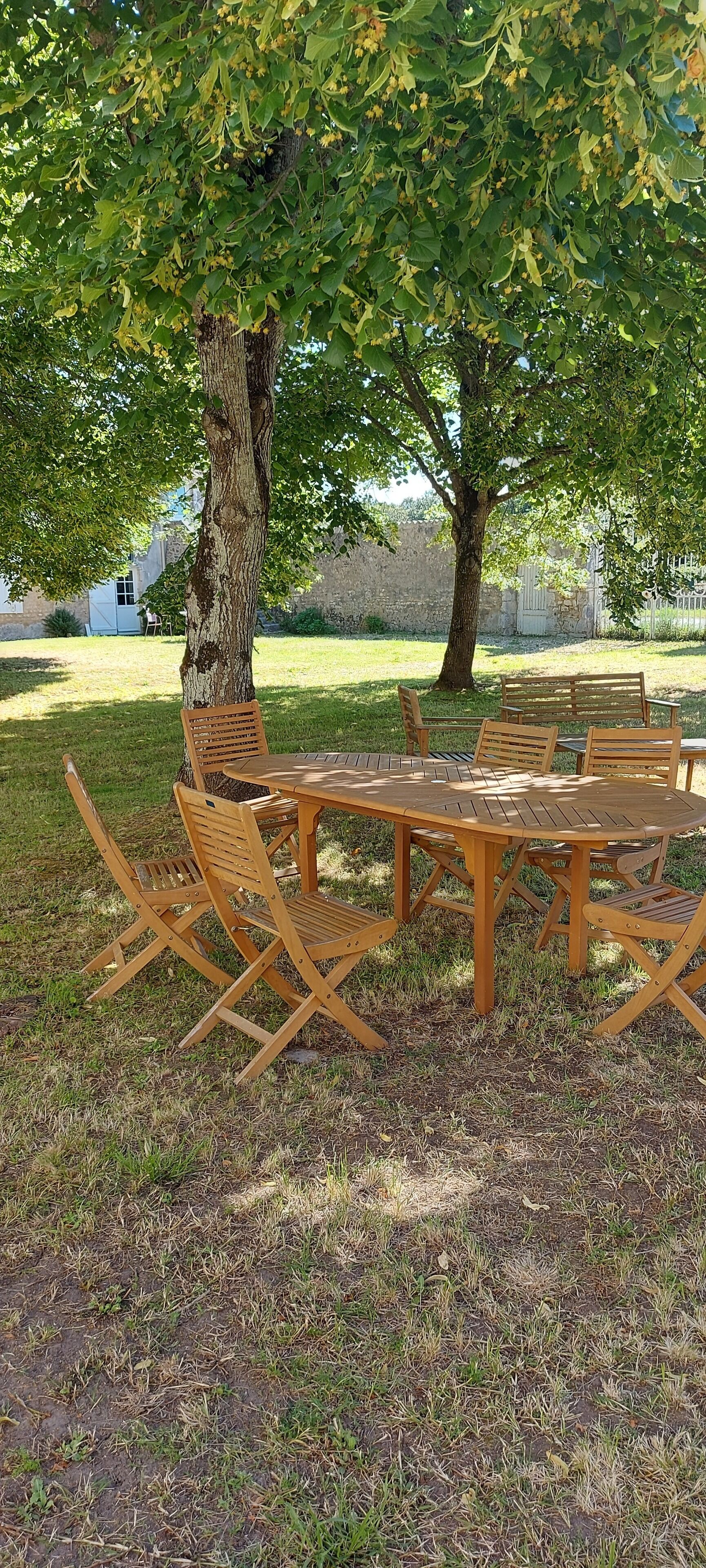 An outdoor seating area with a round wooden table and chairs under a large tree.