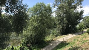 Un sendero de tierra al lado de un río, rodeado de abundante vegetación y árboles.