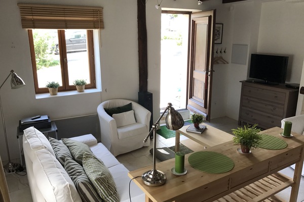 Televisión, chimenea, reproductor de DVD y libros