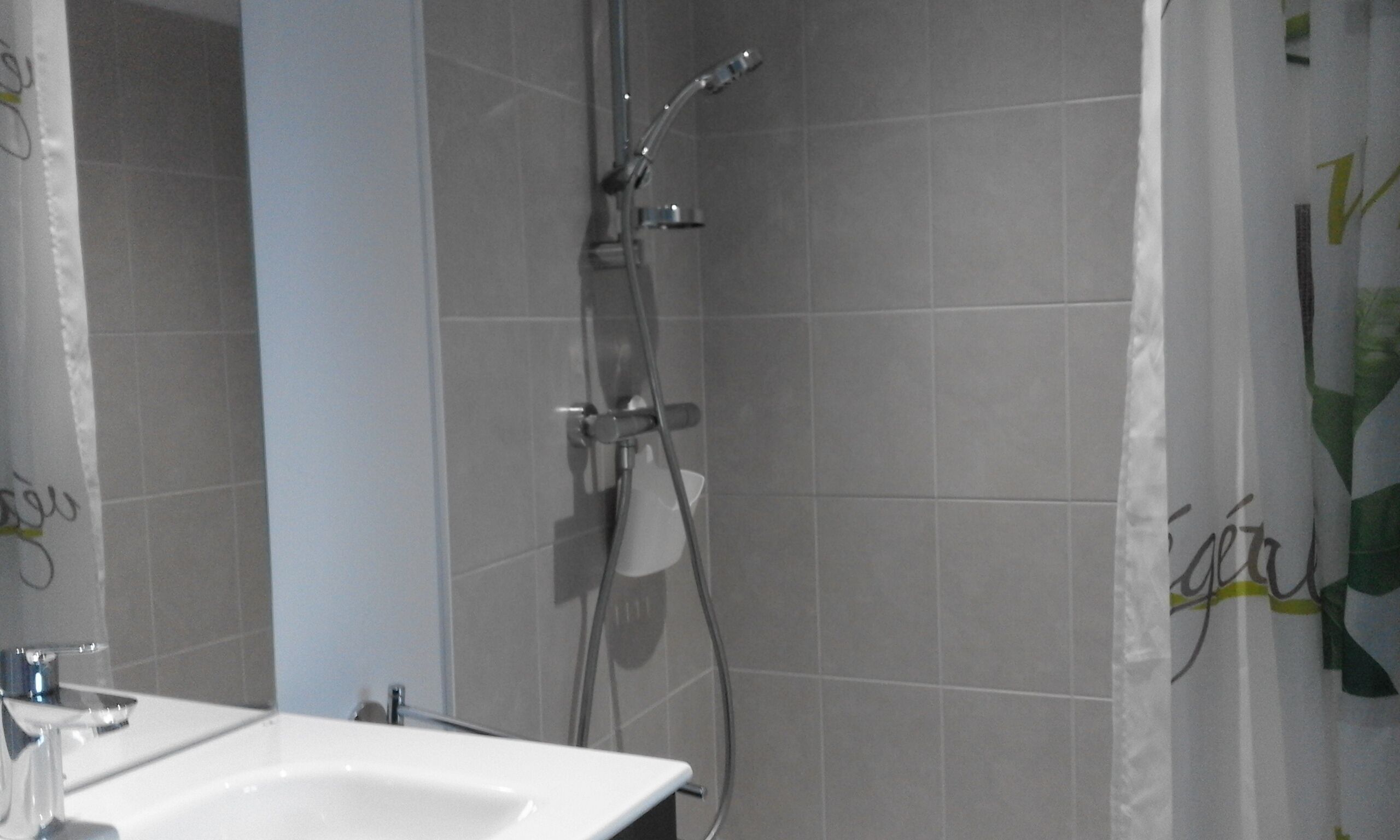 Shower, hair dryer, soap, toilet paper
