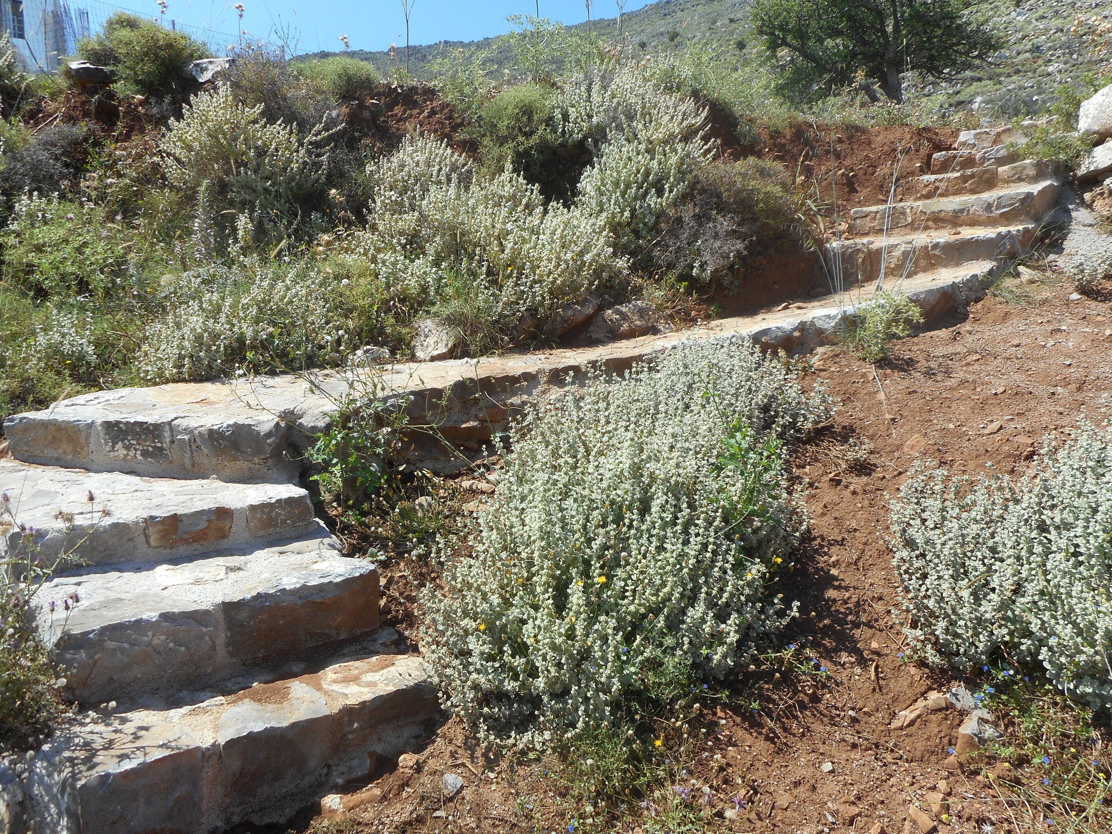 A stone staircase leading up a hillside with surrounding vegetation.