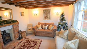 智能电视、壁炉、DVD 播放器