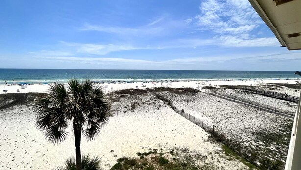 A beach view with a palm tree, sandy areas, and a clear sky. - Beachfront Renovated Condo | Walkable to Dining, Shopping, & Family Fun! | Pool (Gulf Shores)