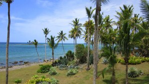 Un paisaje tropical con palmeras, una playa y un cielo azul despejado.