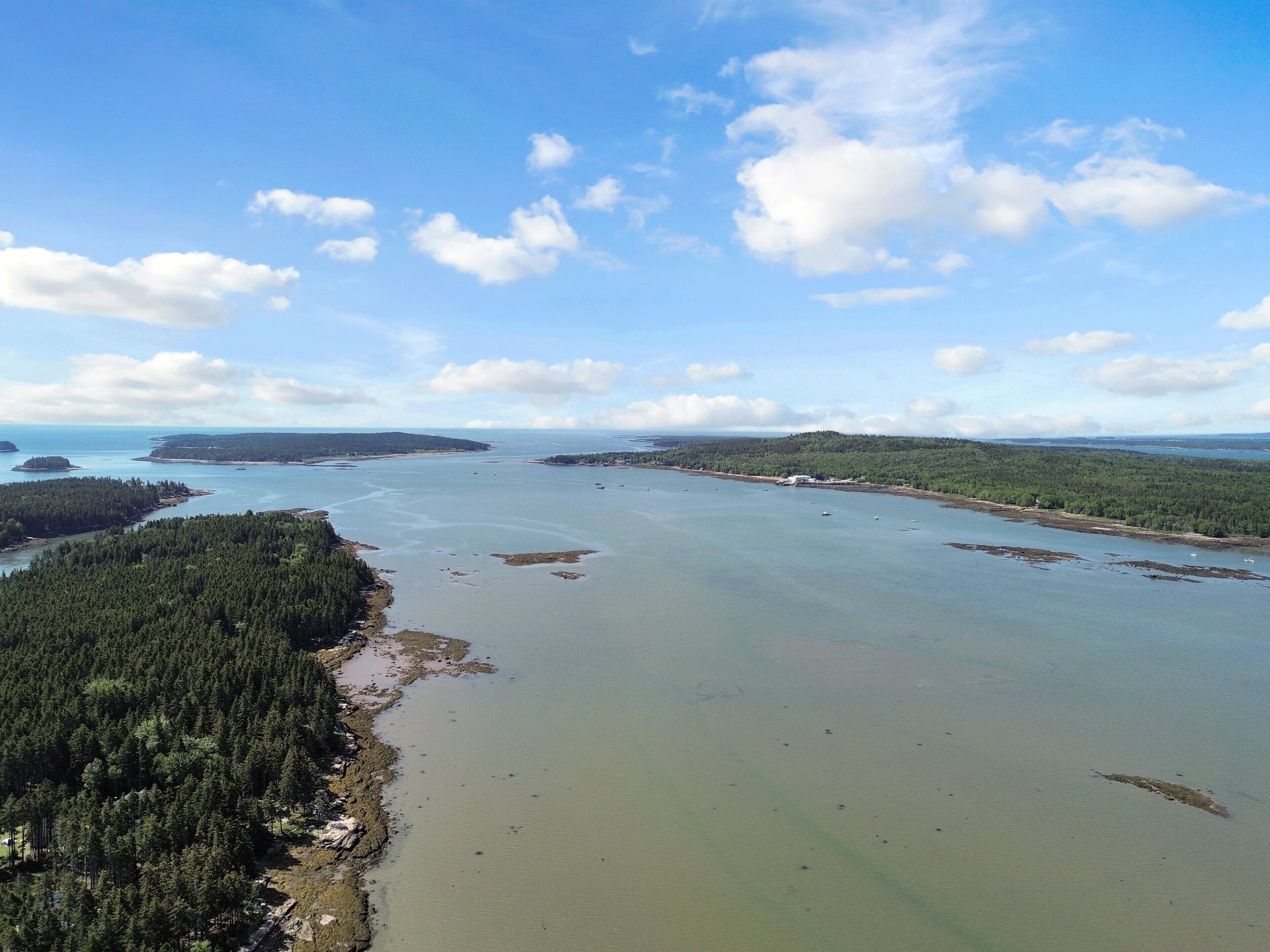 Un paysage côtier comprenant une zone boisée et une étendue d’eau importante.