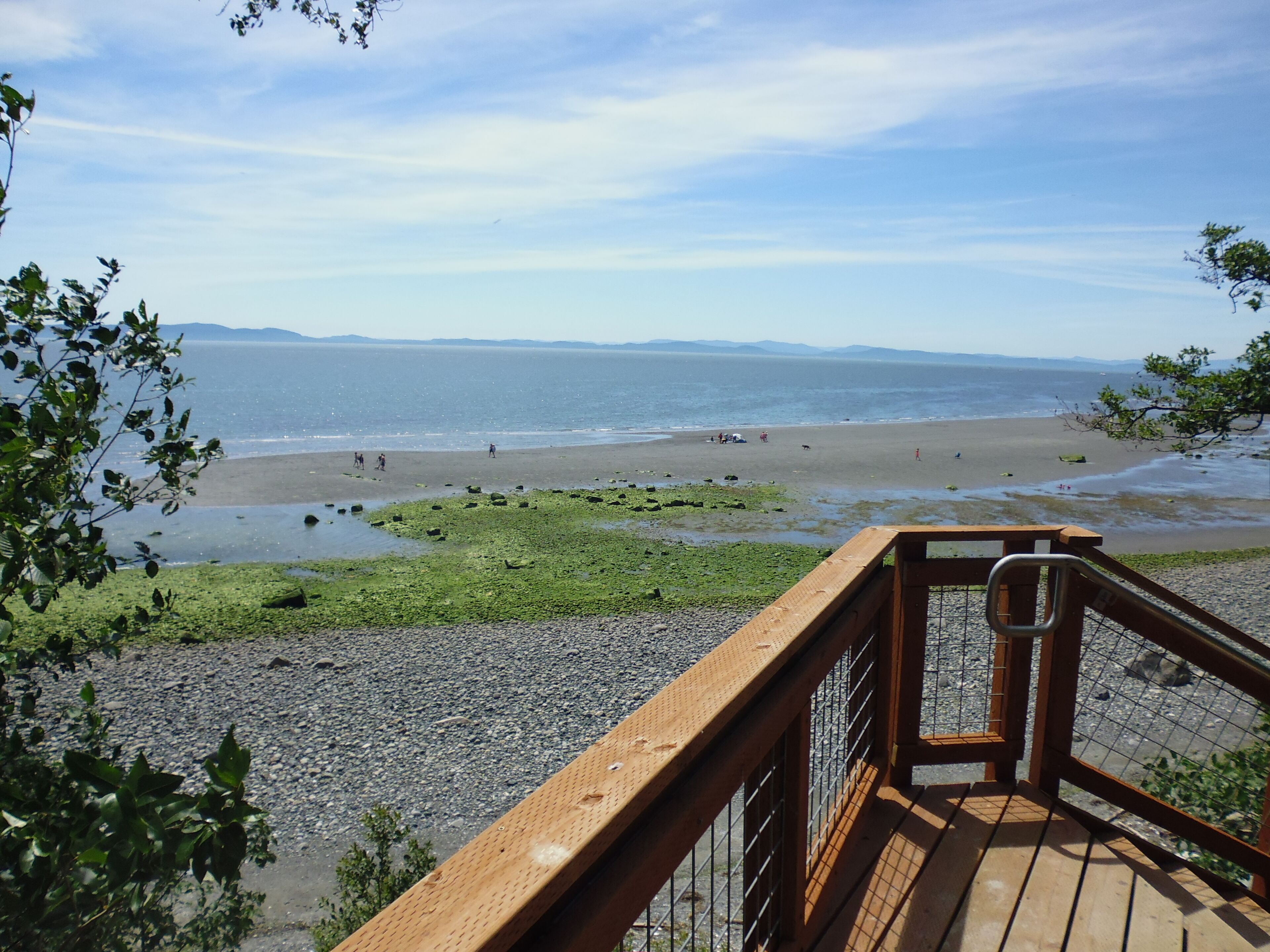 View from the public stairs at Lily Point