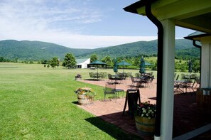Outdoor dining - The Barn at Haden near Wineries and C'ville (Crozet)