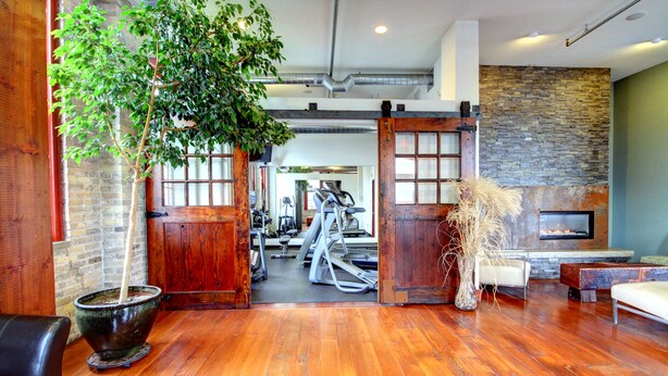 A spacious room with a wooden floor, a large potted tree, a fireplace, and exercise equipment in the background. - Cozy Loft U of M Dinkytown (Minneapolis)