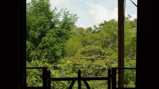 A wooden gate leading to a tiled patio with a view of lush greenery. - Butterfly Cabin - Ocean View-  San Ramon and Esparza (San Ramon)