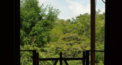 Mariposa Cabin - Forest View