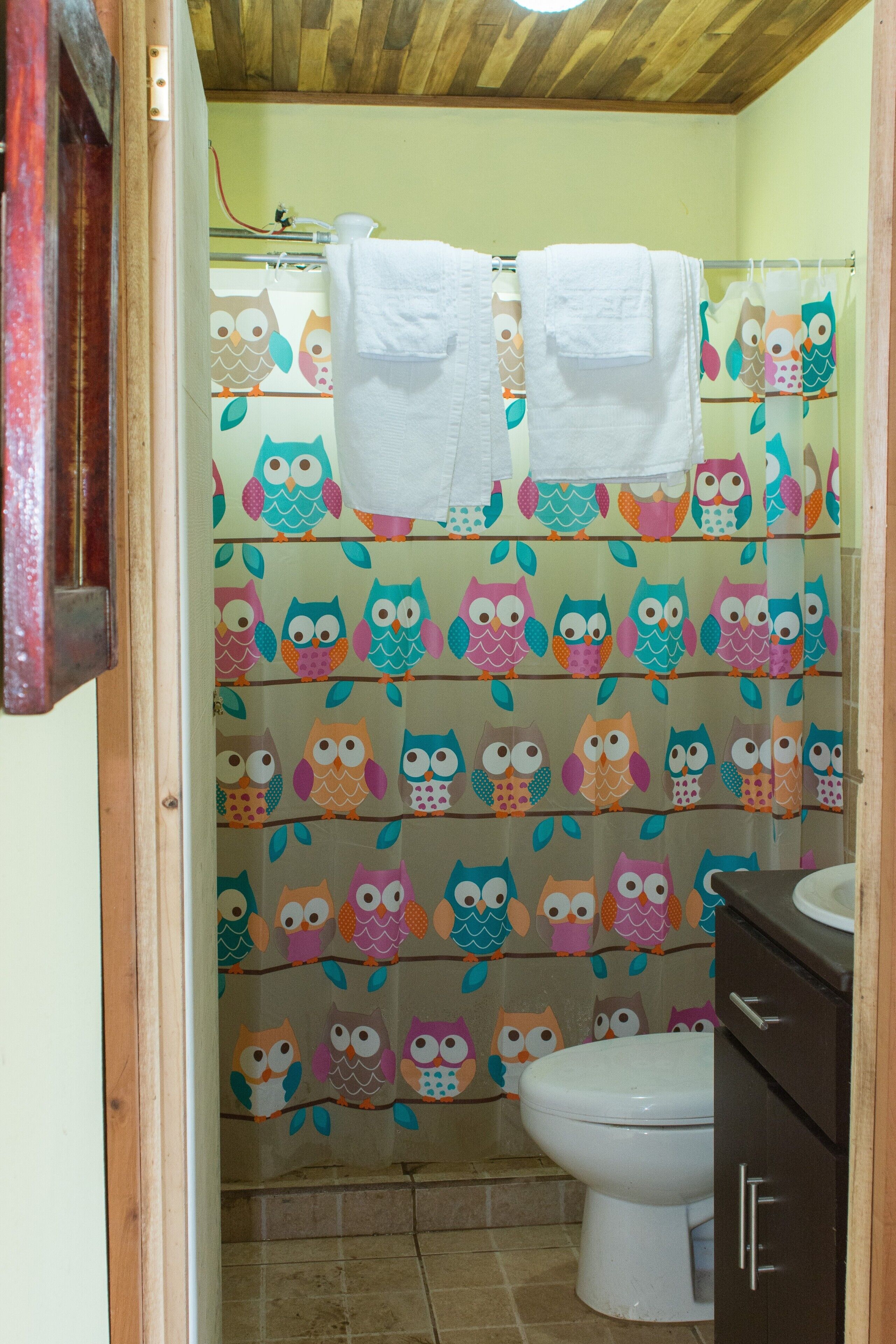 Serviettes fournies, savon, papier toilette