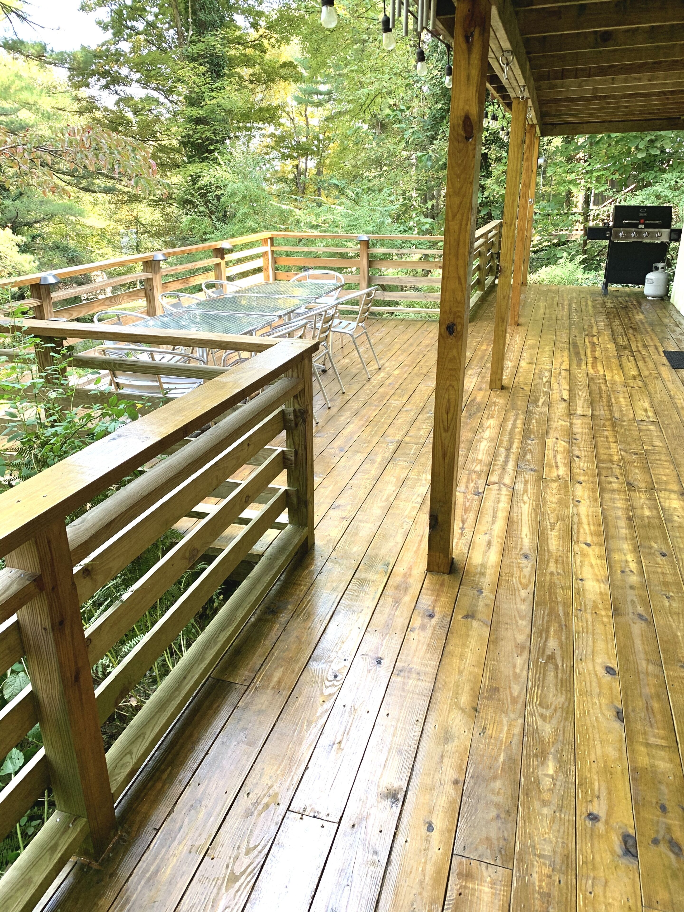 Lower Deck Stain