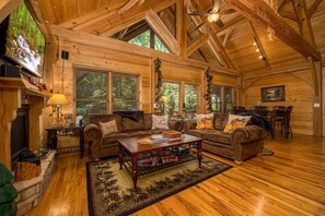 Smart TV, fireplace, video games, DVD player
