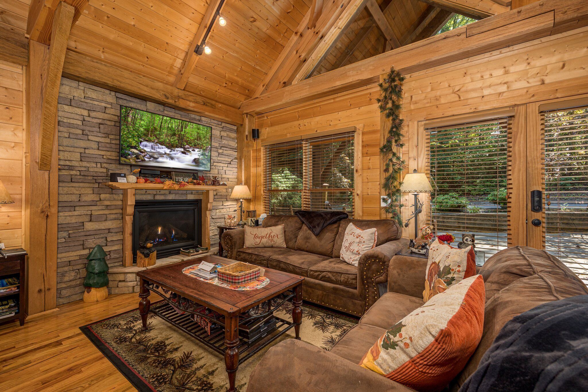 智能电视、壁炉、电子游戏、DVD 播放器