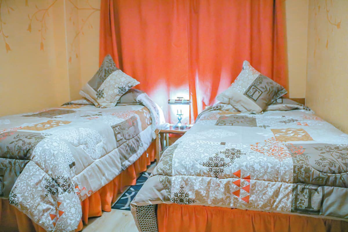 Standard Double or Twin Room | Down comforters, desk, iron/ironing board, free WiFi
