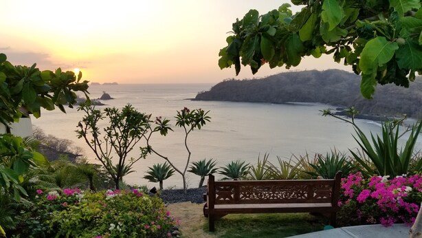 A bench overlooking a coastal view with lush greenery and flowering plants. - Gringo Paradise, a perfect Costa Rican get away! (Potrero)