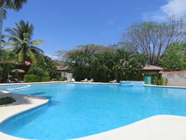 A clear blue pool surrounded by palm trees and lounge chairs.