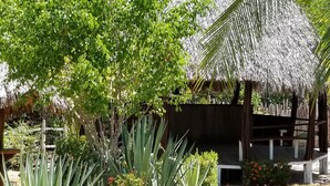 A tropical garden with a thatched-roof structure, surrounded by various plants and a pathway. - Gringo Paradise, a perfect Costa Rican get away! (Potrero)