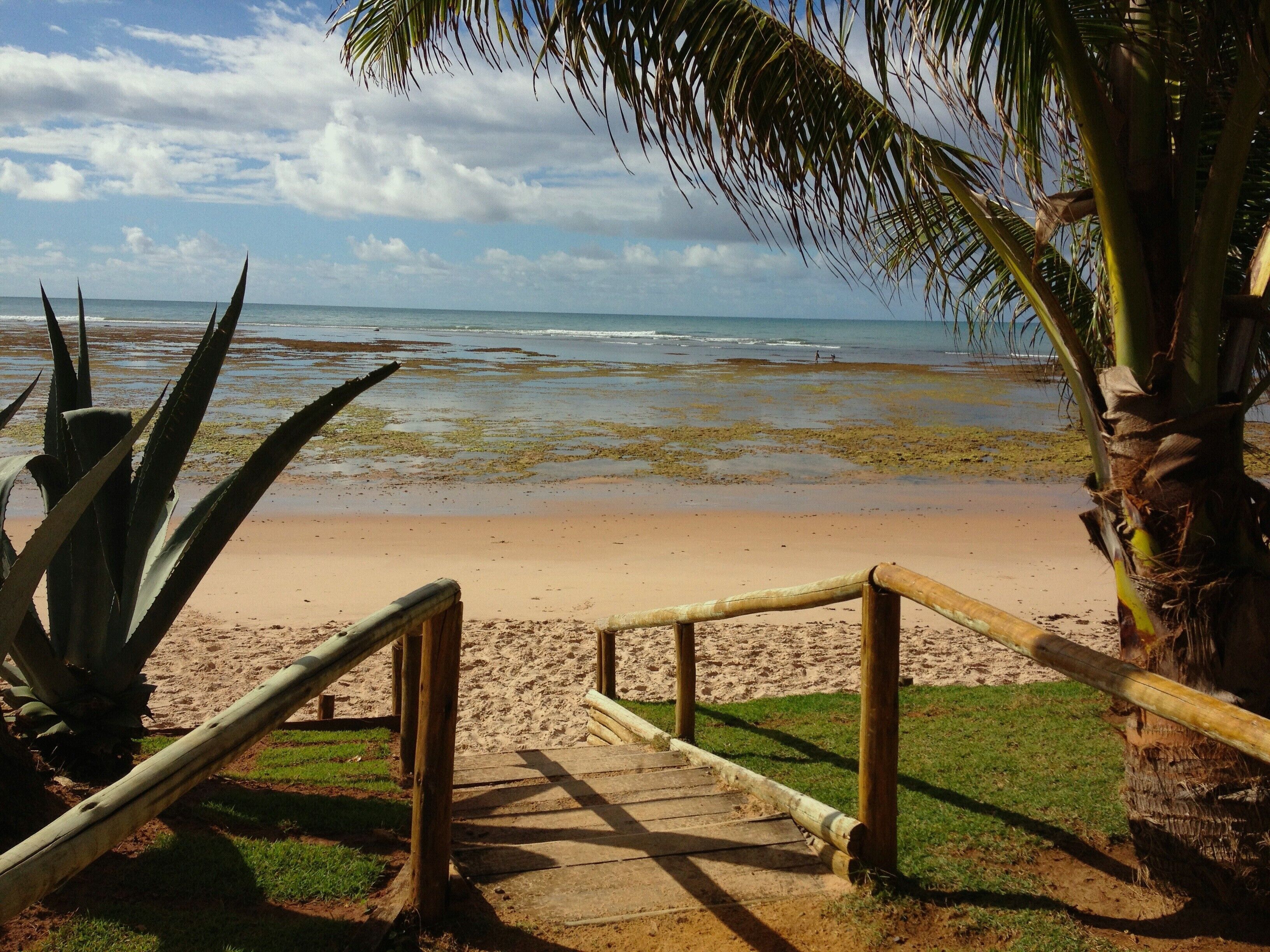  Cottage in Village on the best beach in the North Coast of Bahia