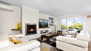 Smart TV, fireplace, video game console, DVD player