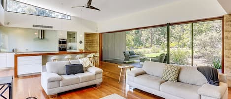 TV connectée, cheminée, lecteur de DVD, livres