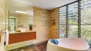 Combined shower/bathtub, free toiletries, hair dryer, towels