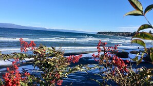 Vista costera con cielo despejado, olas y bayas rojas en primer plano.