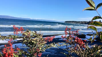 Suíte, 1 cama Queen, para não fumantes, cozinha | Vista para praia/oceano