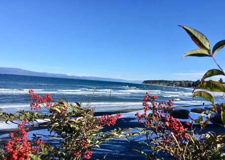 Beach/ocean view