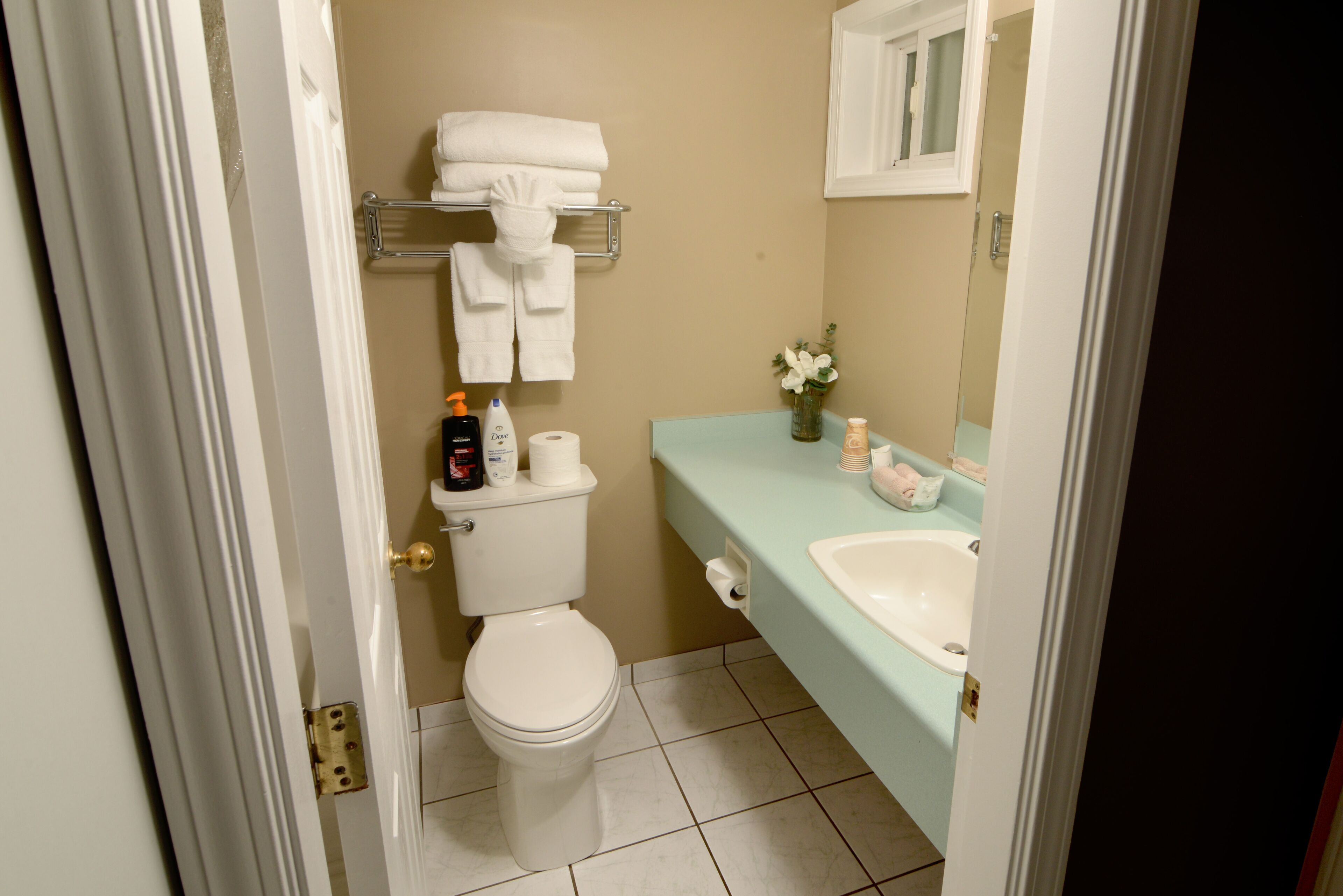 Une salle de bain équipée de toilettes, d’un lavabo et d’un porte-serviettes.