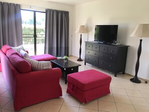 TV, DVD player, books