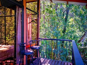 Property grounds - Chalet in the mountain #1 (Monteverde)