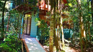 Une terrasse en bois mène à un bâtiment bleu entouré d’arbres.