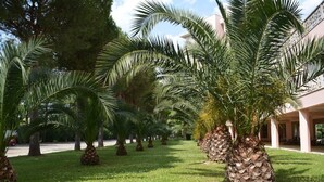 File di palme in una zona verde curata, con un edificio sullo sfondo.