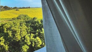 Paesaggio verdeggiante e cielo azzurro sereno visibile attraverso una finestra con tenda.