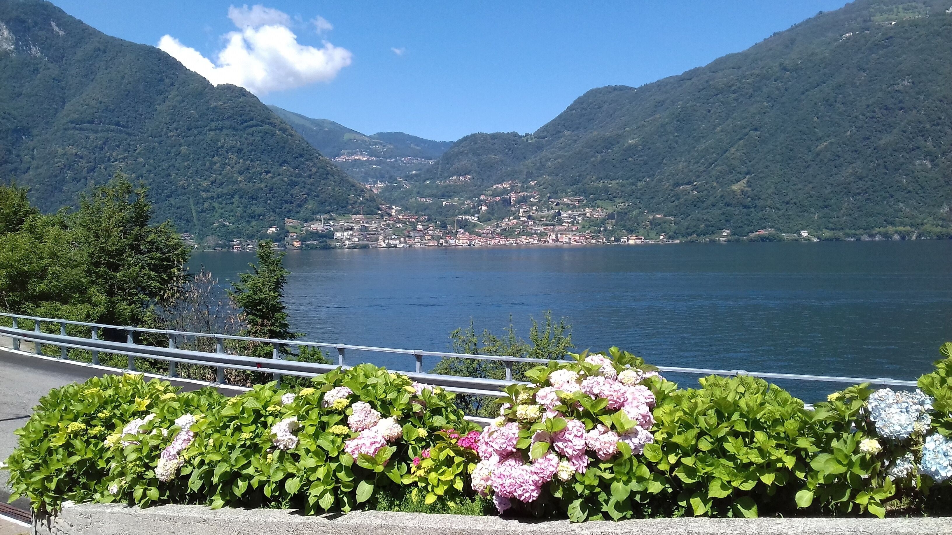 The silence holiday apartment