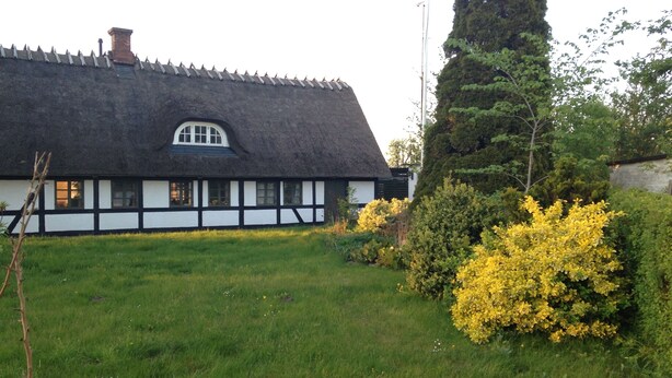 A traditional thatched-roof house with a white exterior and black trim, surrounded by a well-maintained garden with yellow flowering bushes.
