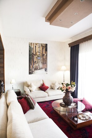 Télévision, cheminée, lecteur de DVD, livres