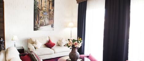 Télévision, cheminée, lecteur de DVD, livres