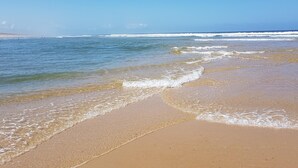 A beach with clear blue water and a sandy shore. - Mobile home in the Landes, view of the forest (Saint-Julien-en-Born)