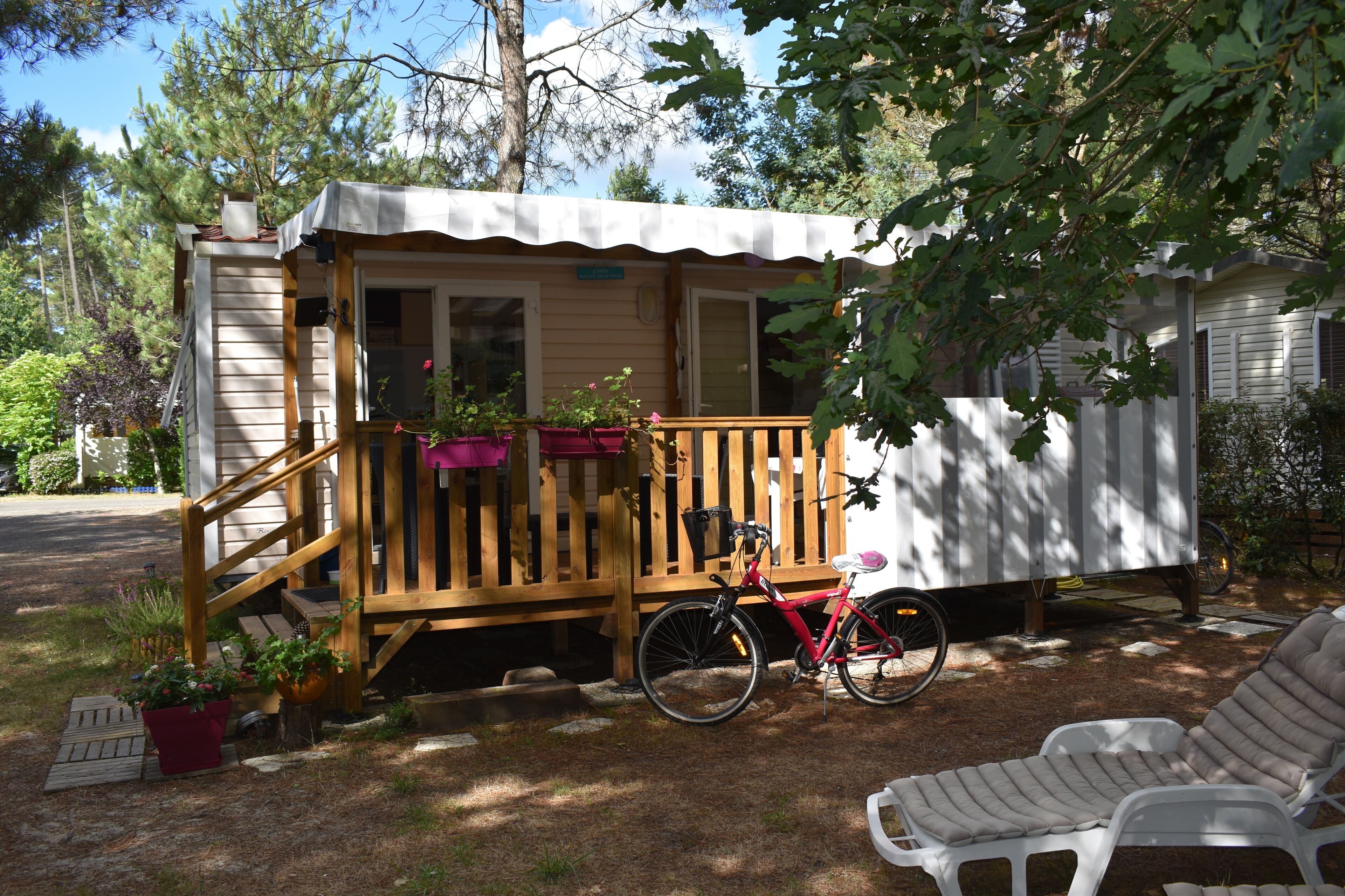 Mobile home in the Landes, view of the forest