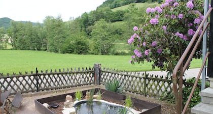 * Europapark region, quiet idyllic location, * Bogenparcours close